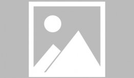 娱乐圈吃瓜爆料弟弟泰迪,泰迪弟弟吃瓜爆料，揭秘幕后真相