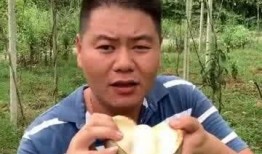 娱乐吃瓜酱大山里