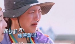 娱乐吃瓜酱emo歌单,沉浸式情感旋律之旅