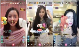 娱乐吃瓜酱大学找工作,求职路上的酸甜苦辣