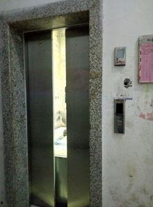 电梯宝贝,穿梭时空的奇幻冒险之旅