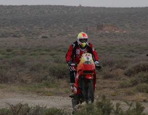 金城虎将,传奇英雄的英勇事迹与传奇人生